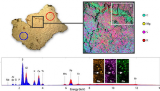 الفريق البحثي أجرى تحليلاً كيميائياً للورقة 
