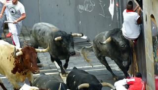 سباق ثيران هائجة في بامبلونا الإسبانية يوليو 2019 