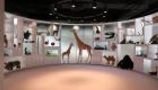 مكتبة أبوظبي للأطفال.. وجهة إماراتية لرسم ملامح المستقبل