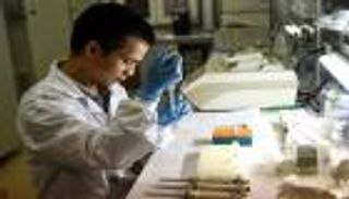 حقن البعوض بالبكتيريا.. تجارب واعدة قد تهزم حمى الضنك