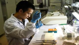 تجارب واعدة على البعوض تثير الأمل في هزيمة حمى الضنك