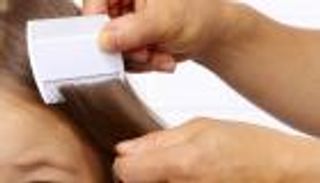 مع بداية الدراسة.. احمي أطفالك من القمل بالخل والروزماري