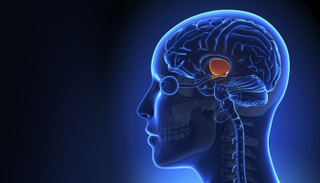 السكتة الدماغية تؤدي إلى فقدان مليارات الخلايا العصبية 