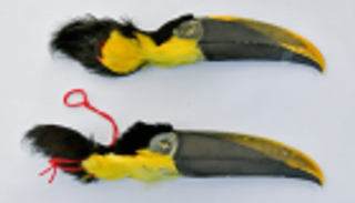 كولومبيا تضبط أجزاء حيوانات تستخدم في "الشعوذة"