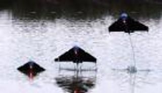 "السمكة الطائرة" روبوت يرصد الكوارث والفيضانات والحوادث النووية