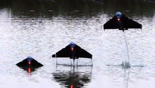 يمكن أن يسافر 