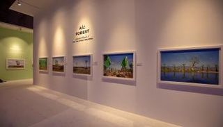 المعرض يرصد جوانب الحياة حول العالم  