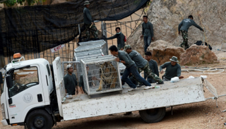 المعبد كان يحقق مئات الآلاف من الدولارات سنويا