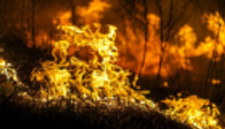 حريق غابات جديد باليونان.. وإخلاء قريتين