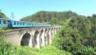 أطول جسر لقبائل الفايكنج.. 1000 حرفي يعيدون أمجاد الأجداد