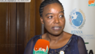 كينيا: فوزنا بمقعد مجلس الأمن يعزز قضايا أفريقيا دوليا