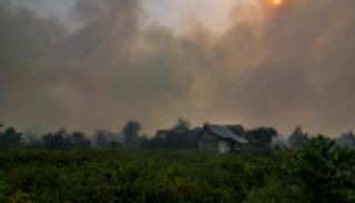 الضباب السام يخنق 3 دول آسيوية