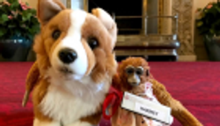 ملكة بريطانيا ترد دمية مفقودة لطفلة أسترالية