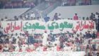 الإمارات والسعودية.. 47 عاما من الشراكات الرياضية الناجحة