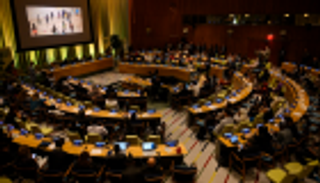 شباب من القارات الـ5 بقمة المناخ.. سابقة تاريخية لحماية البيئة