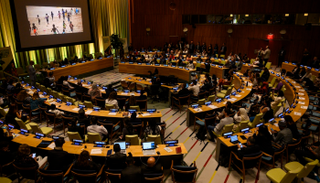 جانب من مشاركة الشباب في قمة المناخ