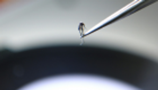 ناسا تحارب انتشار الملاريا في بورما