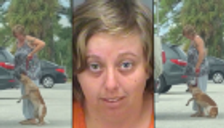 كلب يسجن أمريكية بفلوريدا