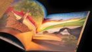 "شجرة الغاف الصغيرة".. رمز عام التسامح بشكل مبسط للأطفال