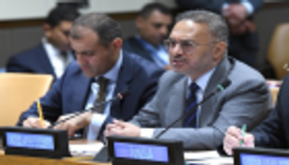 نشاط دبلوماسي مكثف لوفد الإمارات بالأمم المتحدة