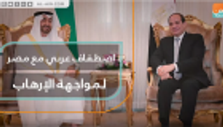 اصطفاف عربي مع مصر لمواجهة الإرهاب