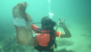 غواصون يطاردون البلاستيك في أعماق الأطلنطي