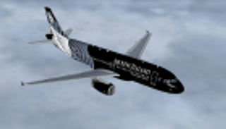 إنذار بحريق يوقف الرحلات الجوية من نيوزيلندا مؤقتا