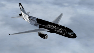 إحدى الطائرات التابعة للخطوط الجوية النيوزيلندية - أرشيفية