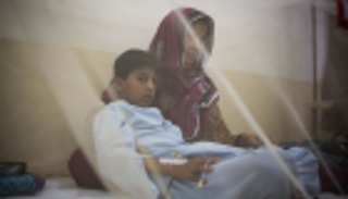 باكستان تستعين بجهات دولية لتحديد سبب انتشار حمى الضنك