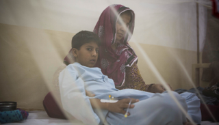 عدد المصابين بحمى الضنك ارتفع إلى 16 ألف حالة - أرشيفية