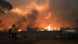 حرائق الغابات في أستراليا