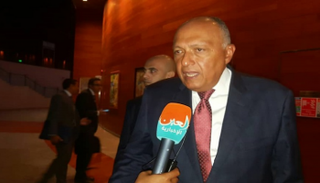 سامح شكري وزير الخارجية المصري