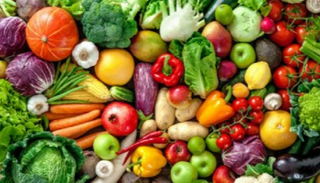  النظام النباتي يعتمد على عدم تناول مشتقات الحيوانات