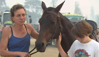 وينتر وابنها والفرس يمكثون حاليا في فندق يرعى الحيوانات