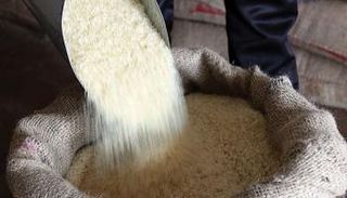 تحمل أرزًا مسلوقًا في عربة لتجفيفه في مطحنة بالهند.. رويترز