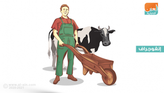 إنفوجراف: حمى القرم - الكونغو النزفية.. 