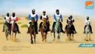 إنفوجراف.. فعاليات مهرجان الشيخ محمد بن زايد آل نهيان للقدرة