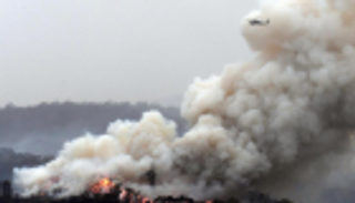 26 قتيلا حصيلة حرائق الغابات في أستراليا