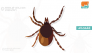 إنفوجراف.. مرض "لايم".. الأعراض وطرق الوقاية