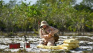 نساء فيتنام يطهرن الأراضي من الألغام