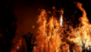 30% زيادة في حرائق الأمازون