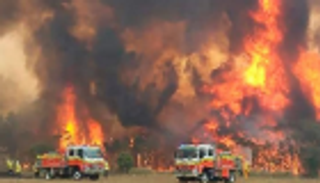 نجم رياضي جديد يتبرع لضحايا حرائق الغابات في أستراليا