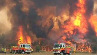 حرائق الغابات في أستراليا