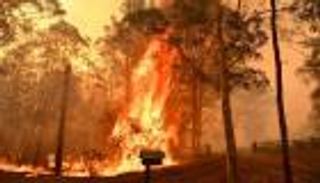 مئات الحرائق تواصل التهام غابات أستراليا