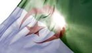 أسبوع الجزائر.. حراك دبلوماسي حول ليبيا وخطوات لتغيير دستور بوتفليقة