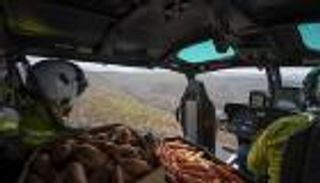 أستراليا تغيث حيوانات الغابات بـ2200 كيلو جزر وبطاطا