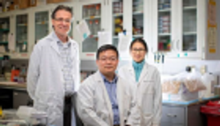 اكتشاف فاعلية مضاد حيوي في علاج الخرف