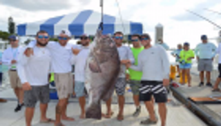 وزنها 159 كيلوجراما وعمرها 50 عاما.. اصطياد سمكة بحجم إنسان