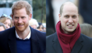 الأميران ويليام وهاري يهاجمان "تايمز": لغتها تحريضية