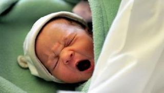 استمرار تراجع عدد المواليد في فرنسا